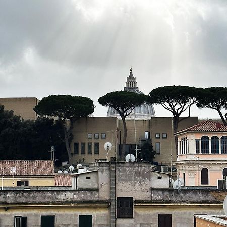 Museum Day Vatican 로마 외부 사진