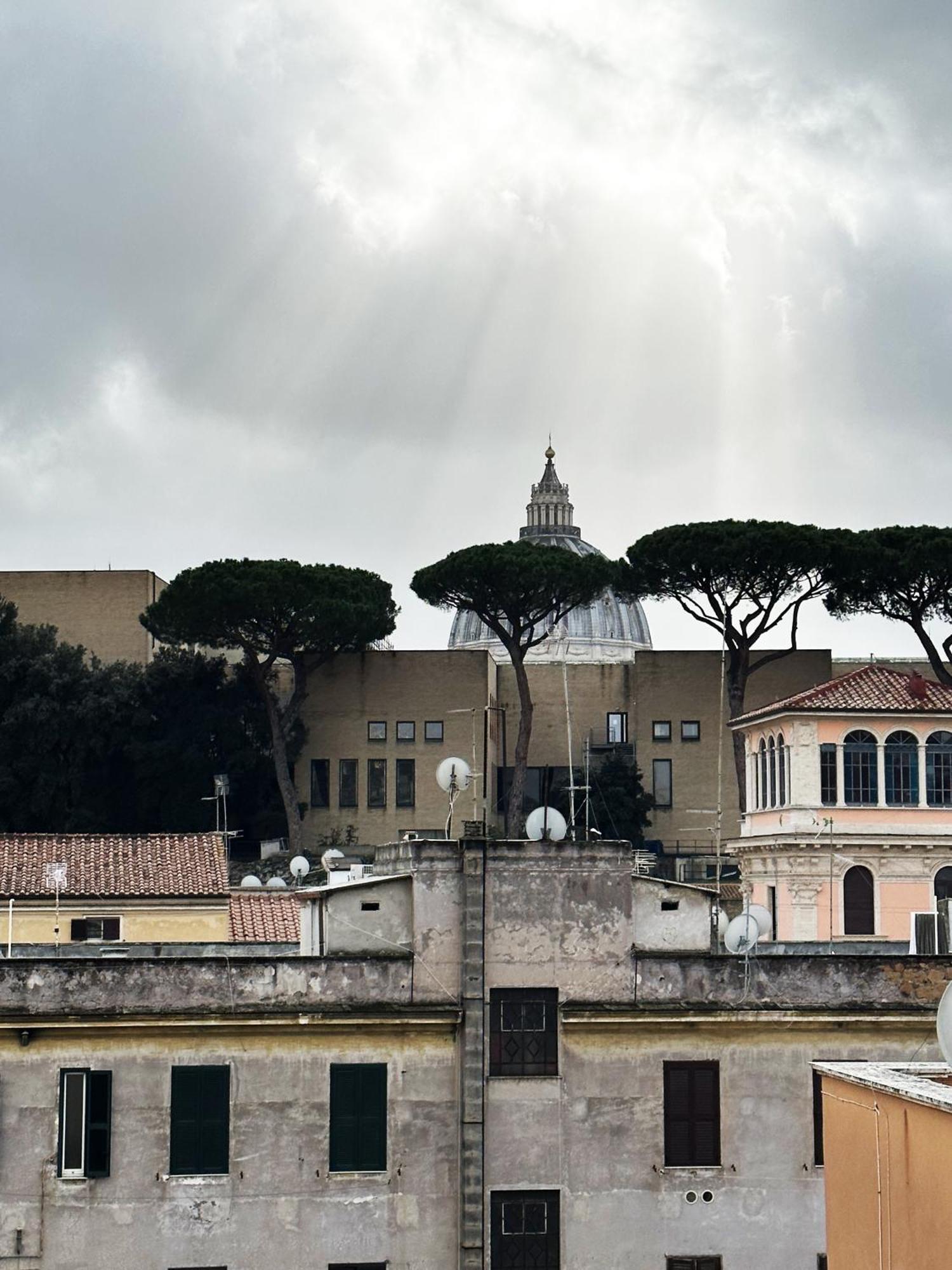 Museum Day Vatican 로마 외부 사진